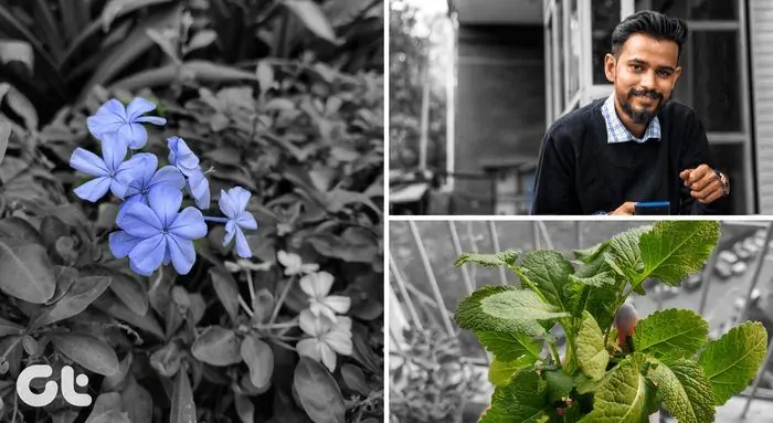 آموزش سیاه و سفید کردن بک‌گراند عکس‌ها با Snapseed در اندروید و iOS