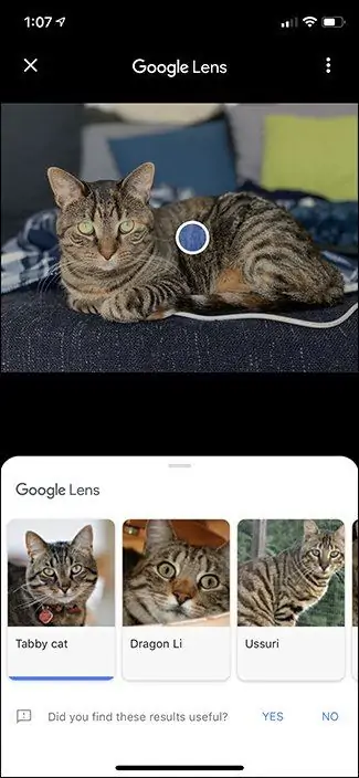 آموزش استفاده از Google Lens برای جستجوی تصویری در آیفون و آیپد