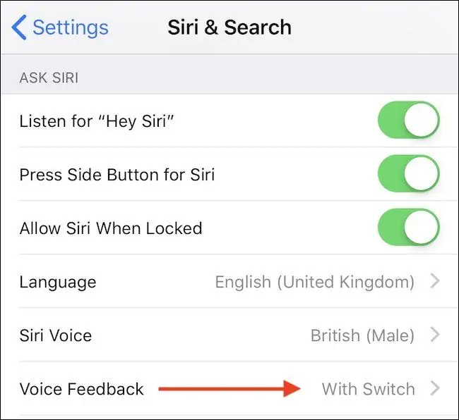 آموزش فعالسازی Siri در آیفون و آیپد و تنظیمات صدای آن
