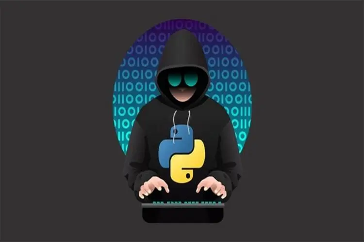 هک کردن با پایتون [راهنمای جامع برای برنامه‌نویسان و متخصصان امنیت]