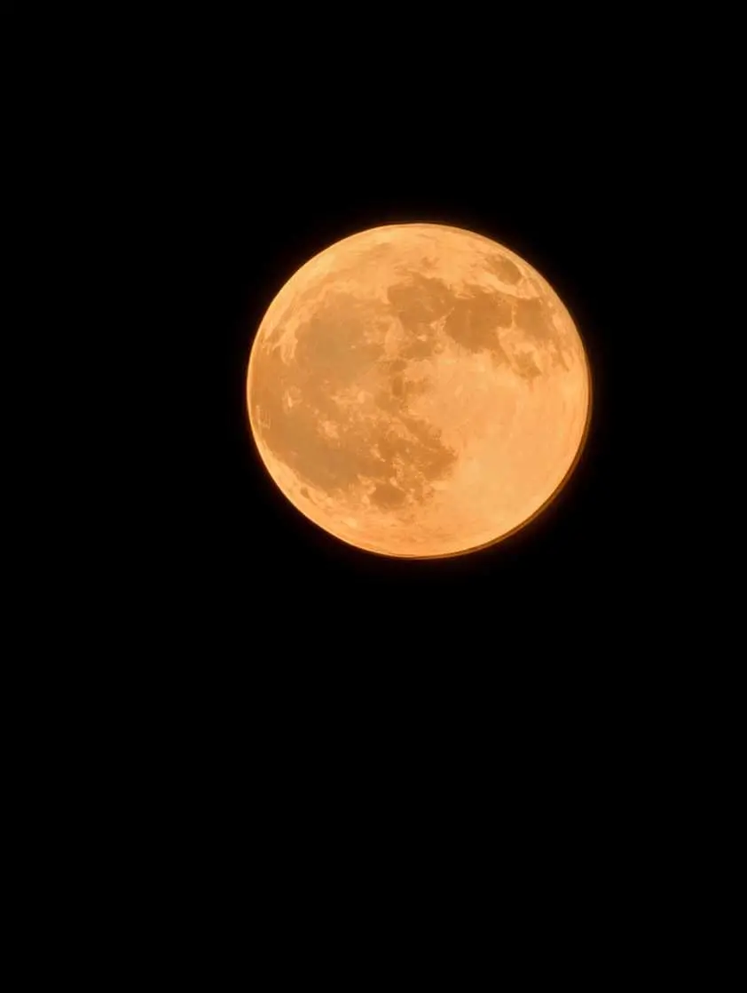 آشنایی با Pro Res Zoom یا بزرگنمایی عکس به کمک هوش مصنوعی در گوشی‌های پیکسل ۱۰ پرو گوگل