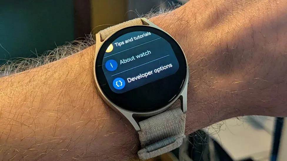 ۴ قابلیت مخفی ساعتهای Galaxy Watch که با فعال کردن حالت توسعهدهنده فعال میشود