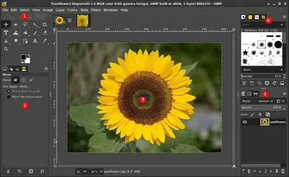 کدام جایگزین فتوشاپ فایل PSD را بهتر باز می‌کند؟ GIMP یا Krita یا PhotoDemon