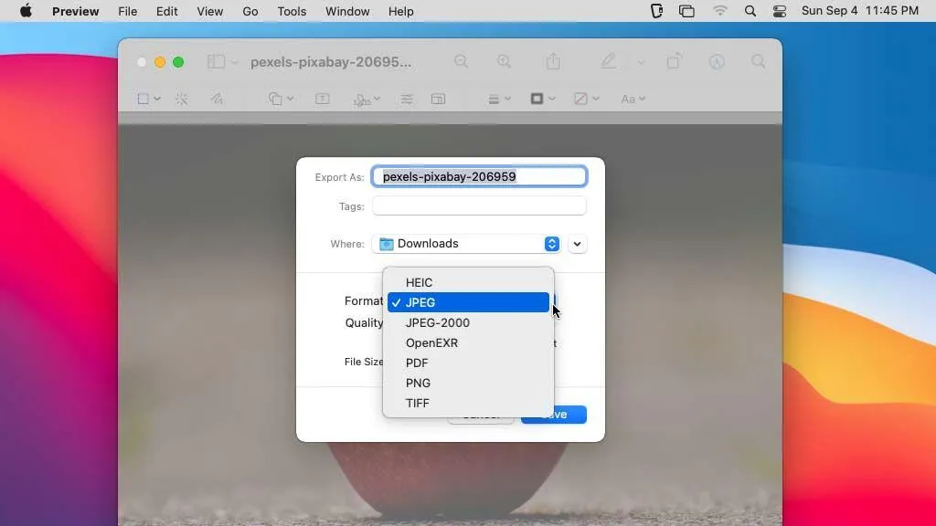 آموزش برنامه Preview مک؛ ویرایش PDF و تصاویر بدون نرم‌افزار پولی